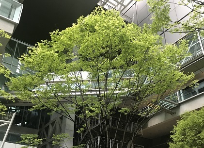 20230423院長ブログ5